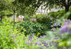 Illustration de Les jardiniers de la Ville de Versailles