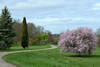 Illustration de Arboretum de Chèvreloup